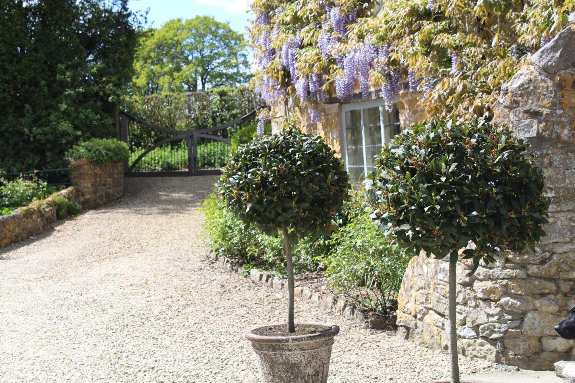 Maison d'hôtes Hewletts Mill à Castle Cary Extérieur photo
